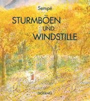 bokomslag Sturmböen und Windstille