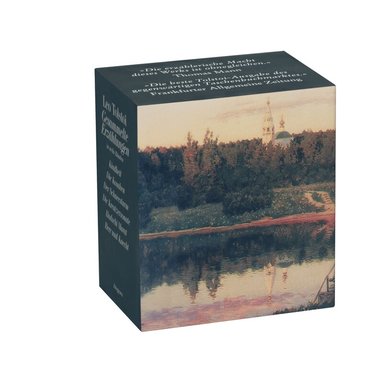 Leo N. Tolstoi - Gesammelte Erzählungen, Häftad