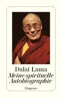 bokomslag Meine spirituelle Autobiographie