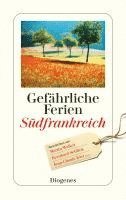 bokomslag Gefährliche Ferien - Südfrankreich