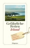 bokomslag Gefährliche Ferien - Irland