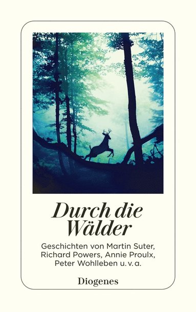 bokomslag Durch die Wälder