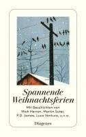 bokomslag Spannende Weihnachtsferien