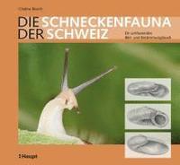 bokomslag Die Schneckenfauna Der Schweiz