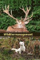 bokomslag Wildtiermanagement