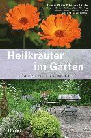 bokomslag Heilkräuter im Garten