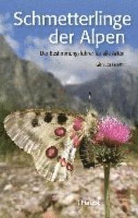 bokomslag Schmetterlinge der Alpen