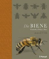 bokomslag Die Biene