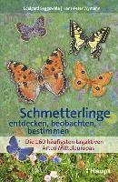 Schmetterlinge entdecken, beobachten, bestimmen 1