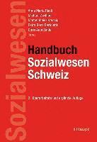 Anna Maria Riedi, Marcel Meier Kressig, Petra Benz Bartoletta, Michael Zwilling, Doris Aebi Zindel - Handbuch Sozialwesen Schweiz, Inbunden