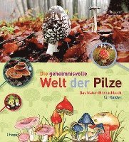 bokomslag Die geheimnisvolle Welt der Pilze