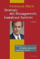 bokomslag Strategie des Managements komplexer Systeme