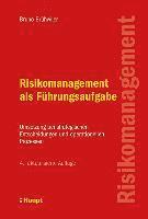 bokomslag Risikomanagement als Führungsaufgabe