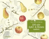 bokomslag 100 alte Apfel- und Birnensorten