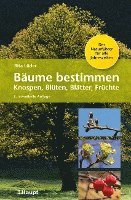 bokomslag Bäume bestimmen - Knospen, Blüten, Blätter, Früchte