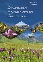 bokomslag Orchideenwanderungen