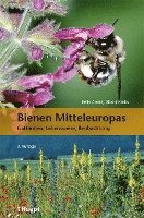 bokomslag Bienen Mitteleuropas