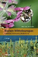 Bienen Mitteleuropas 1