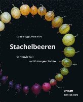 bokomslag Stachelbeeren