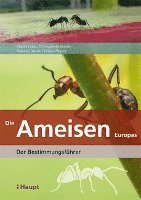 Die Ameisen Europas 1