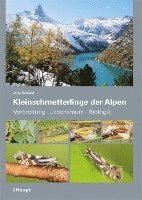 bokomslag Kleinschmetterlinge der Alpen