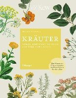 bokomslag Kräuter