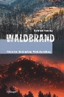 bokomslag Waldbrand