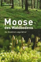 bokomslag Moose des Waldbodens