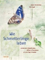 bokomslag Wie Schmetterlinge leben