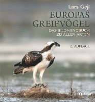 bokomslag Europas Greifvögel