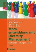bokomslag Teamentwicklung mit Diversity-Management
