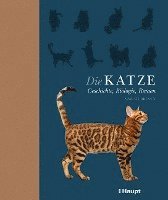 Die Katze 1