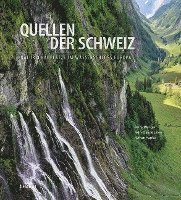 bokomslag Quellen der Schweiz