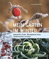 bokomslag Mein Garten im Winter