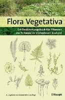 bokomslag Flora Vegetativa