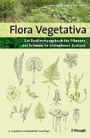 Stefan Eggenberg, Adrian Möhl - Flora Vegetativa, Häftad