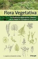 Flora Vegetativa 1