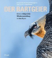 bokomslag Der Bartgeier