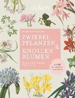 bokomslag Zwiebelpflanzen & Knollenblumen