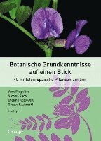 bokomslag Botanische Grundkenntnisse auf einen Blick