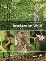 Beat Wermelinger - Insekten im Wald, Inbunden