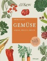 Hélèna Dove - Gemüse, Inbunden