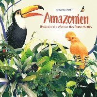 Amazonien 1