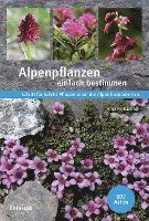 bokomslag Alpenpflanzen einfach bestimmen