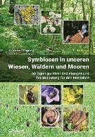 bokomslag Symbiosen in unseren Wiesen, Wäldern und Mooren