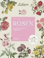 Rosen 1