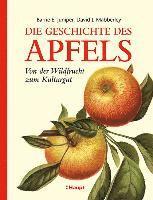 bokomslag Die Geschichte des Apfels