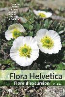 bokomslag Flora Helvetica - Guide d'excursions