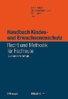 Daniel Rosch, Christiana Fountoulakis, Christoph Heck - Handbuch Kindes- und Erwachsenenschutz, Inbunden