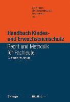 bokomslag Handbuch Kindes- und Erwachsenenschutz